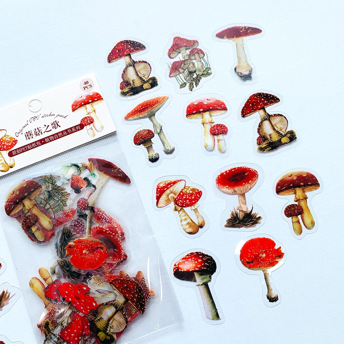 Stickers PET Ref. Hongos x40 - Image 3