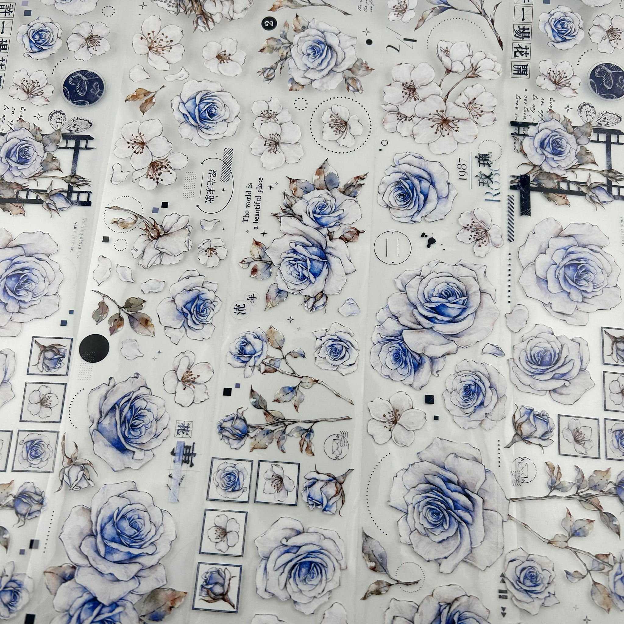 Washitape PET Ref. Beauty Blue x 1mt
