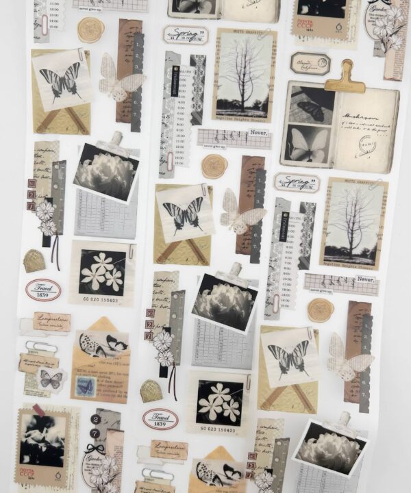 Washitape PET Ref. Vintage Butterfly x 1mt