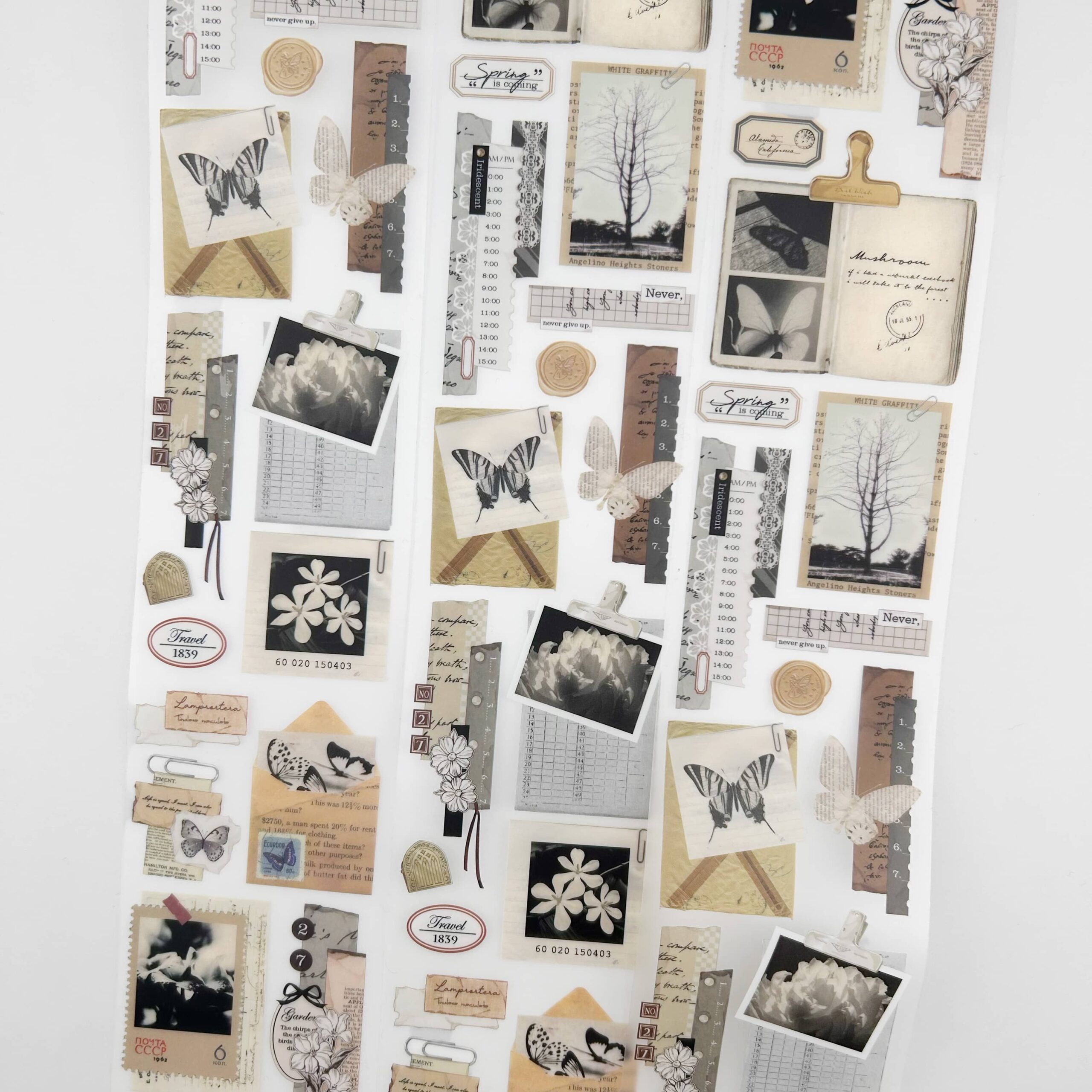 Washitape PET Ref. Vintage Butterfly x 1mt